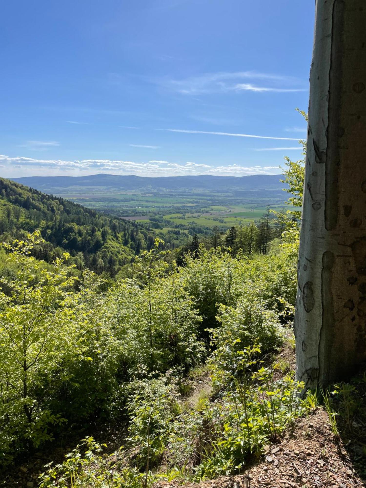 Swierkowy Zakatek Idzikow Extérieur photo